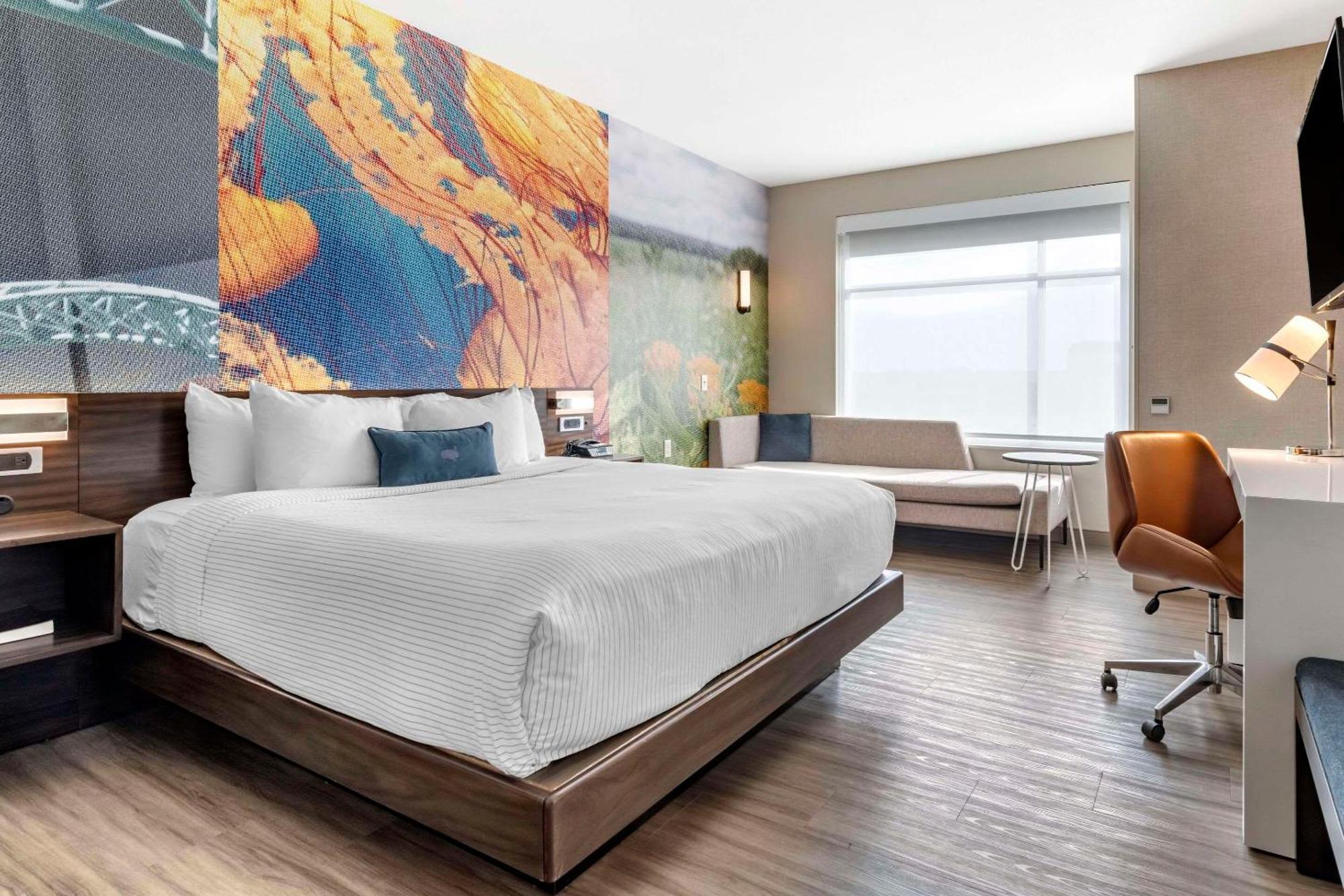 Cambria Hotel Bloomington Mall Of America Minneapolis Airport Zewnętrze zdjęcie